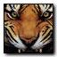 Emblem-tiger.jpg