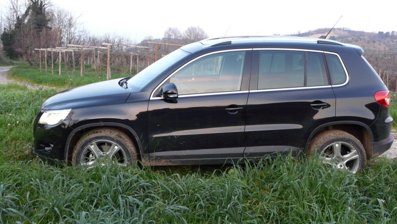 Ivo in the Mud & Grass
